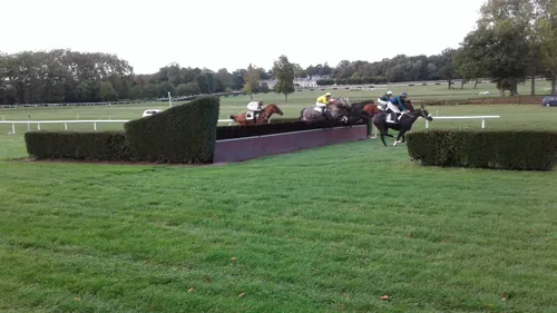 Hippisme : nos préférés pour ce dimanche 13 juin